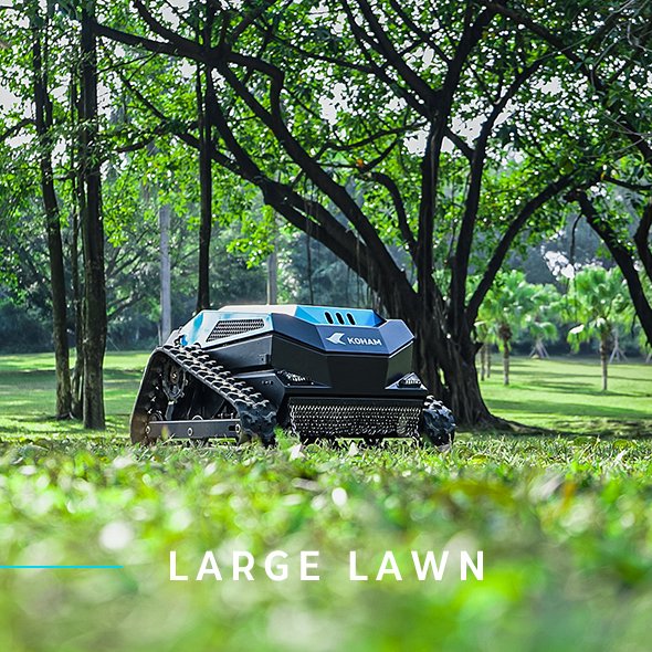LARGE LAWN